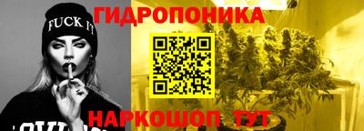 стафф Будённовск