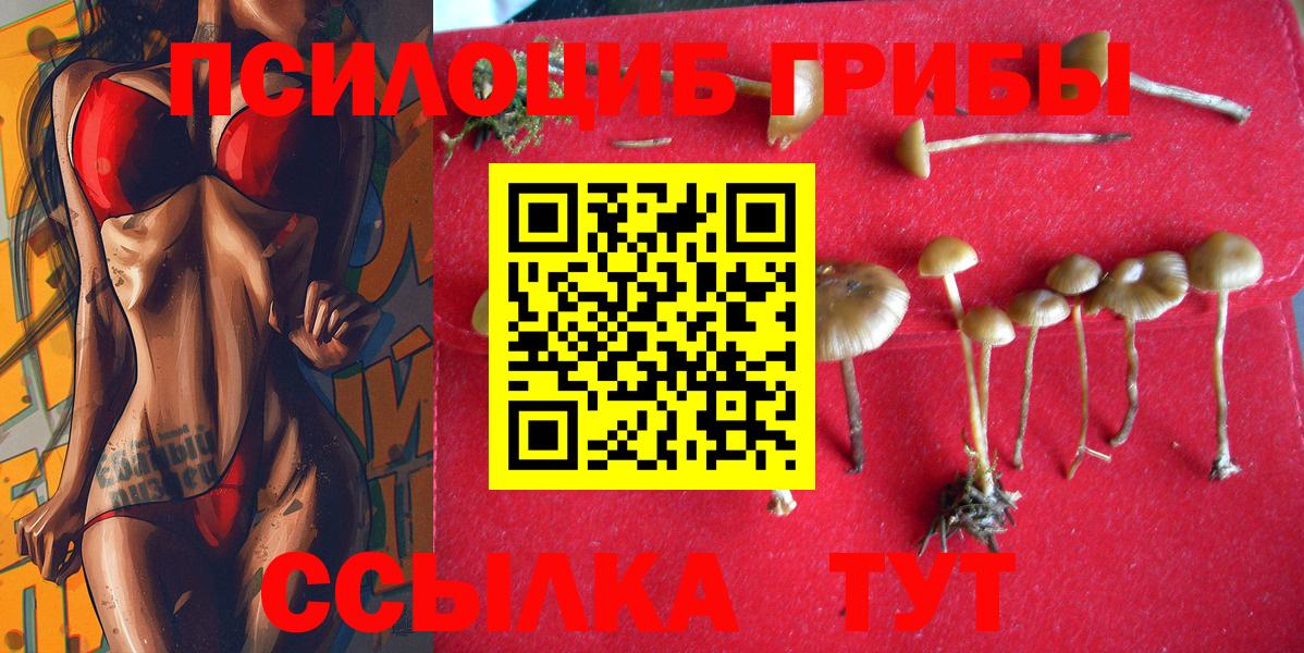 Галлюциногенные грибы MAGIC MUSHROOMS  Вход с VPN  Галлюциногенные грибы Psilocybe  Рязань 