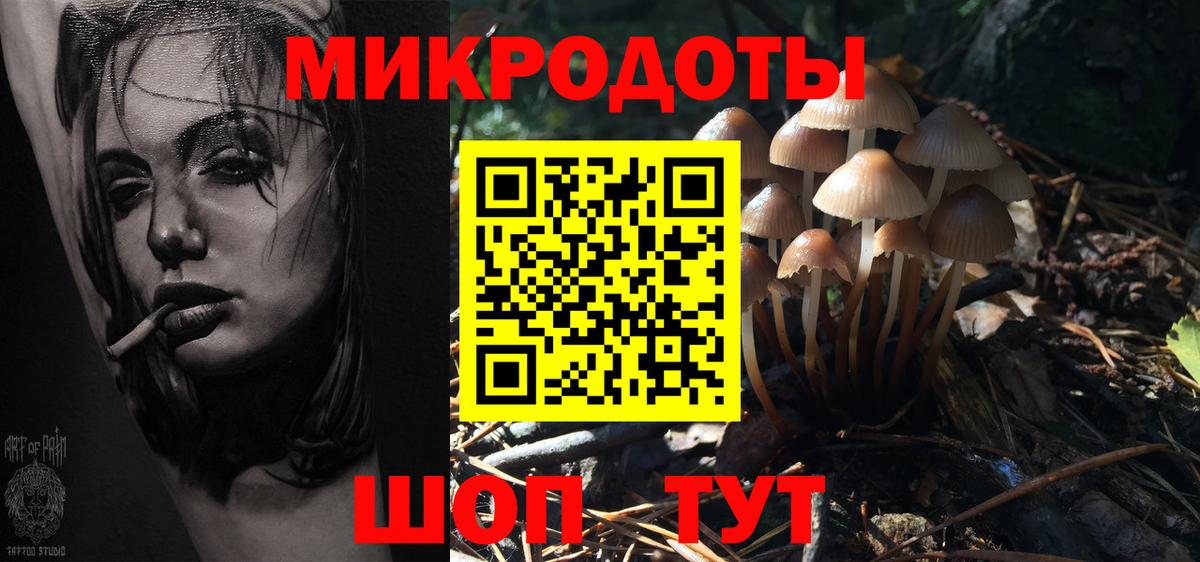 Галлюциногенные грибы GOLDEN TEACHER Рязань
